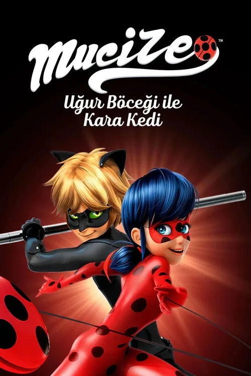 Mucize Uğur Böceği ile Kara Kedi