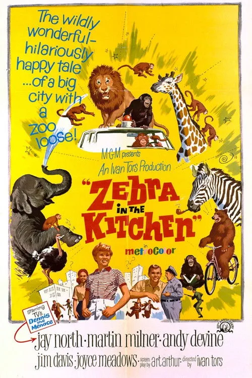 Zebra Mutfakta