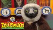 Zoboomafoo izle