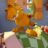 Garfield : 1.Sezon 44.Bölüm izle