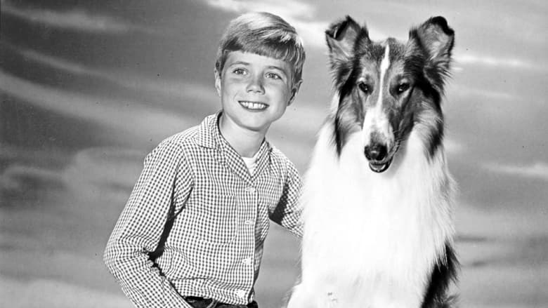 Lassie : 1.Sezon 19.Bölüm