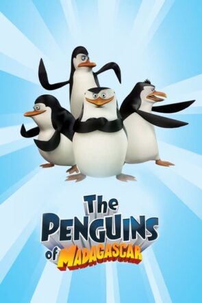 Madagaskar Penguenleri