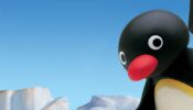Pingu izle